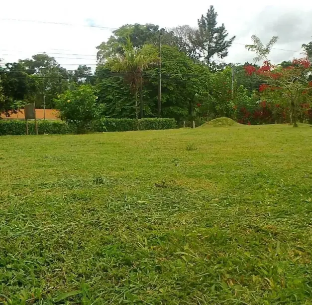 https://static.portalterreno.com.mx/properties/3072/4f4eb55d-9192-550a-8c09-921b291fcf00.webp