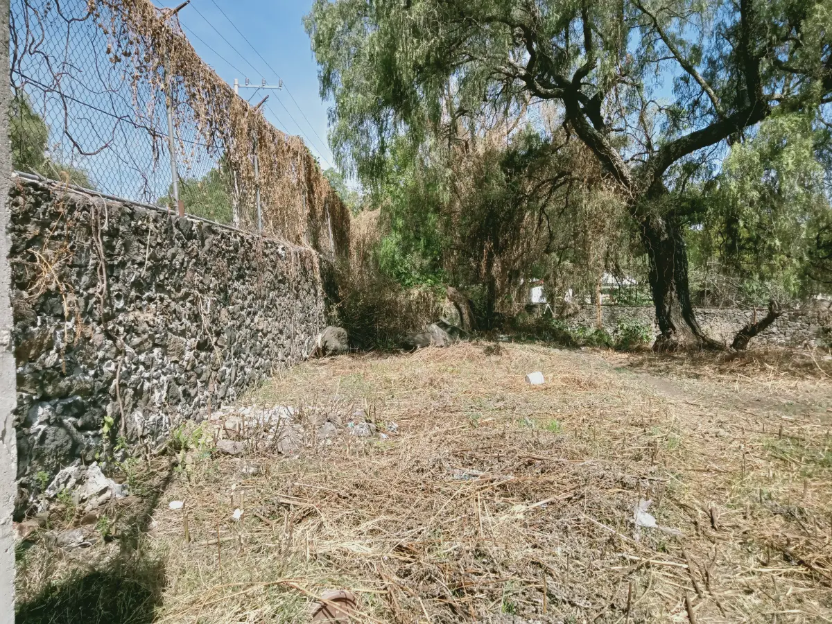 https://static.portalterreno.com.mx/properties/3128/10c4ab8e-7b56-5053-8692-321b874ce230.webp