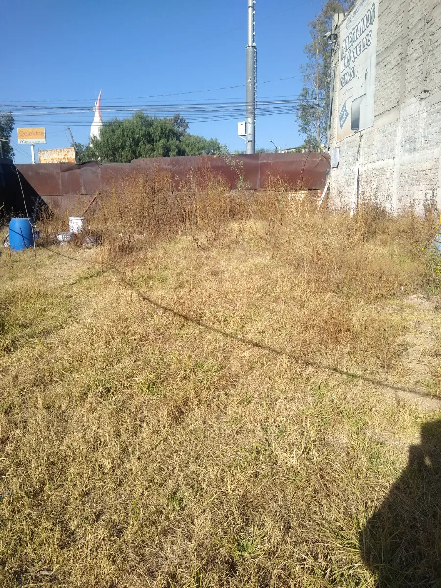 https://static.portalterreno.com.mx/properties/3129/43ee0e15-9ddb-5a36-ac5b-3b069a37f342.webp